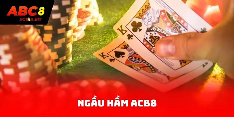 Ngầu hầm ACB8