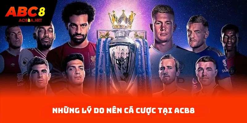 Những lý do nên cá cược tại ACB8