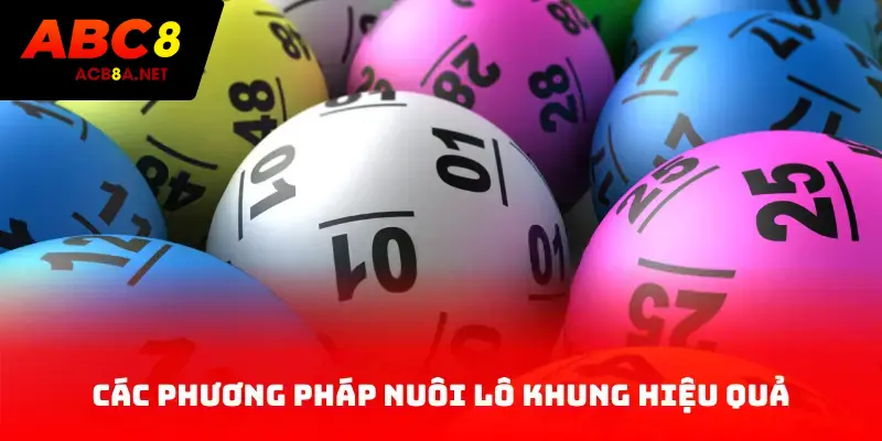 Các phương pháp nuôi lô khung hiệu quả